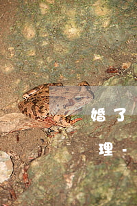 離婚了網(wǎng)貸逾期無力償還怎么處理-離婚了網(wǎng)貸逾期無力償還怎么處理呢