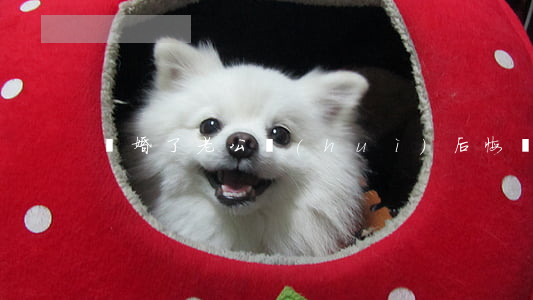 離婚了老公會(huì)后悔嗎