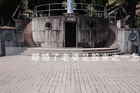 離婚了老婆是股東之一怎么辦