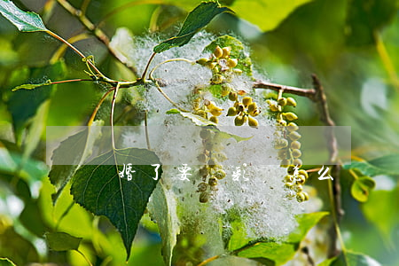 離婚了要還彩禮怎么辦