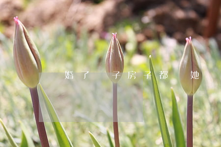 離婚了車子房子都給她