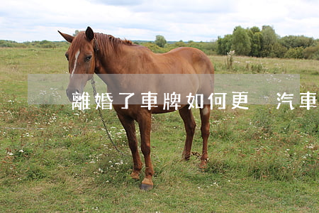 離婚了車牌如何更換(汽車怎么更換車牌)