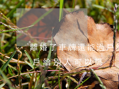 離婚了車牌還能過戶給別人嗎(離婚前把車過戶給別人可以嗎)
