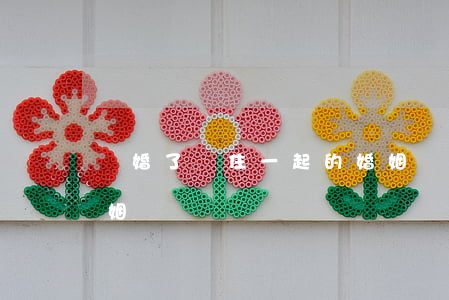 離婚了還住一起的婚姻(離婚了還住一起的婚姻)