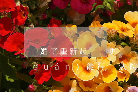 離婚了重新起訴變更撫養(yǎng)權(quán)能行嗎(法院調(diào)解離婚后變更撫養(yǎng)權(quán))