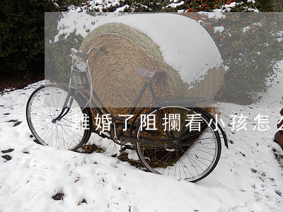 離婚了阻攔看小孩怎么辦
