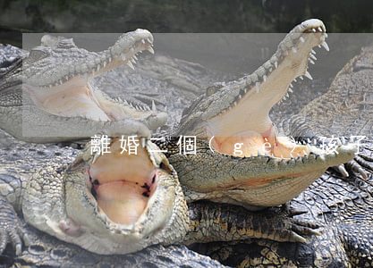 離婚二個(gè)孩子怎么判定