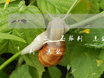 離婚二嬸不服判決怎么辦(離婚案二審后不服判決怎么辦)