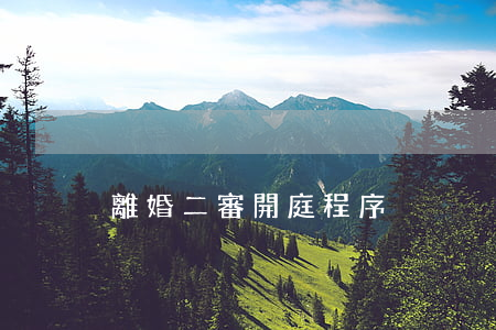 離婚二審開庭程序