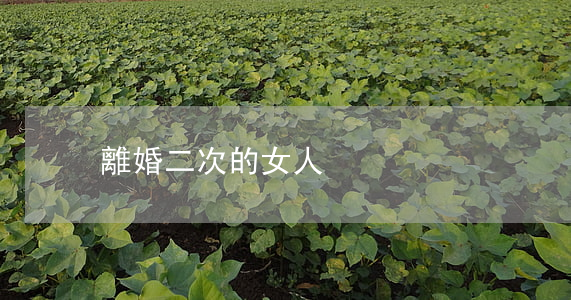 離婚二次的女人
