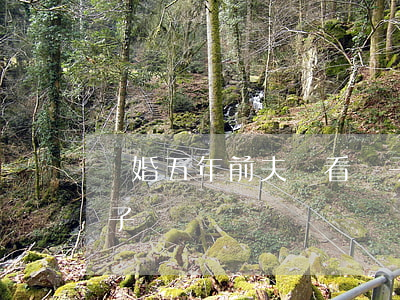 離婚五年前夫來看兒子(離婚五年前夫來看兒子)