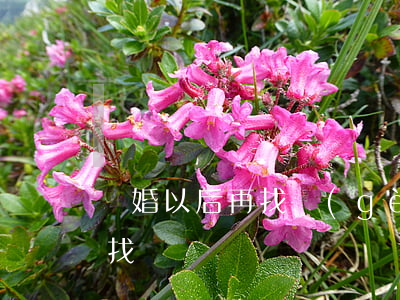 離婚以后再找個(gè)老公(離婚后還能再找嗎)