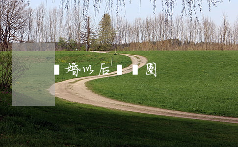 離婚以后娛樂圈