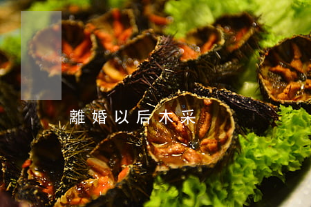 離婚以后木采
