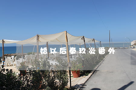 離婚以后秦玖炎番外