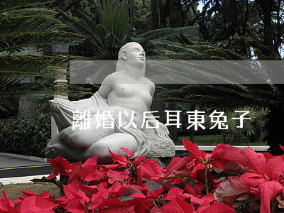 離婚以后耳東兔子