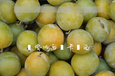 離婚以后藍卡蘇西