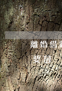 離婚借錢沒打欠條(借錢如果沒有打欠條怎么要回)