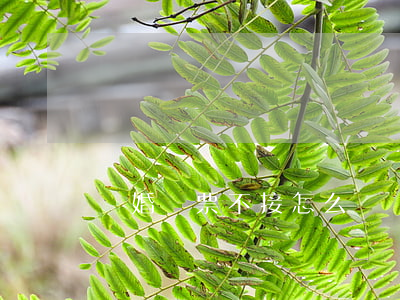 離婚傳票不接怎么辦
