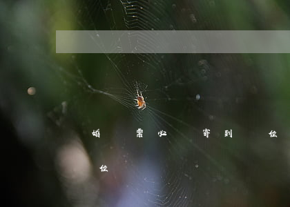 離婚傳票必須寄到單位嗎(起訴離婚傳票送到單位嗎)