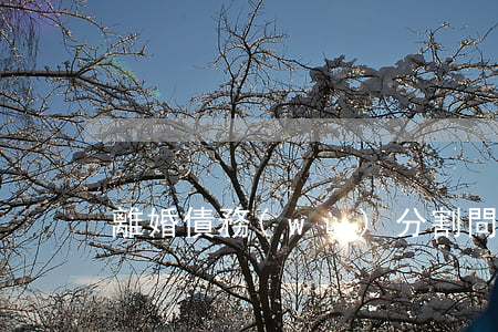離婚債務(wù)分割問(wèn)題