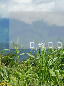 離婚債務(wù)怎么分