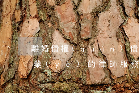 離婚債權(quán)債務(wù)糾紛專業(yè)的律師服務(wù)-離婚債務(wù)律師咨詢
