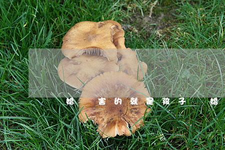 離婚傷害的就是孩子(離婚對孩子傷害)