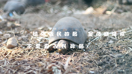 離婚先去民政局還是法庭(法院離婚判決后需不需要去民政局)