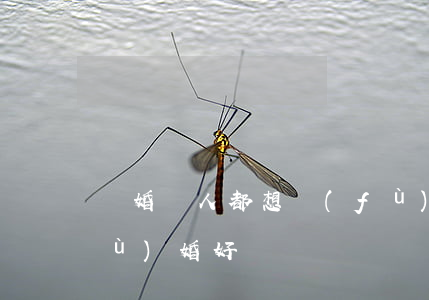 離婚兩人都想復(fù)婚(離了婚,再復(fù)婚好嗎)