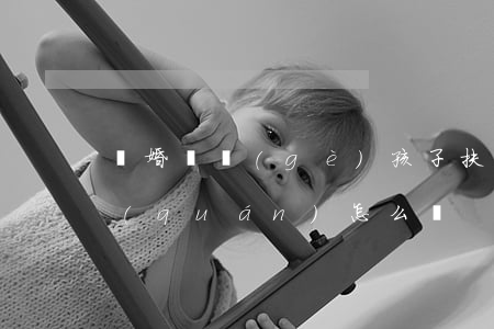 離婚兩個(gè)孩子扶養(yǎng)權(quán)怎么辦