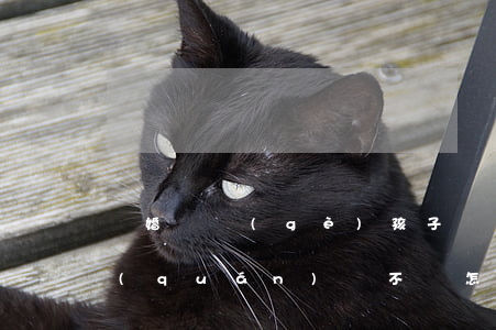離婚兩個(gè)孩子撫養(yǎng)權(quán)談不攏怎么辦