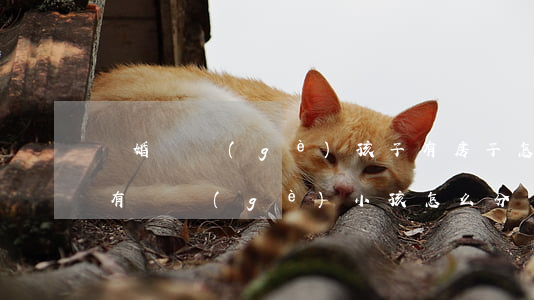 離婚兩個(gè)孩子有房子怎么分(要離婚,有兩個(gè)小孩怎么分)