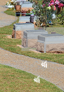 離婚兩個(gè)月后又離婚(結(jié)婚兩個(gè)月就離婚正常嗎)