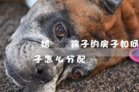 離婚兩個孩子的房子如何分配(離婚孩子和房子怎么分配)