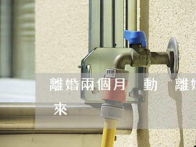 離婚兩個月沒動靜(離婚一個月了還是沒緩過來)
