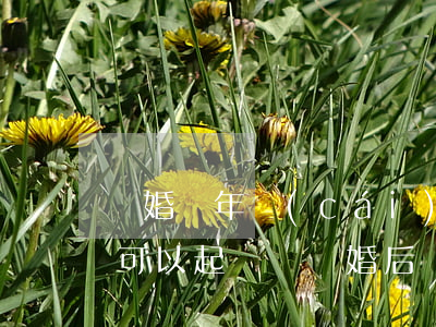 離婚兩年財(cái)產(chǎn)分割可以起訴嗎(離婚后還可以起訴分割共同財(cái)產(chǎn)嗎)