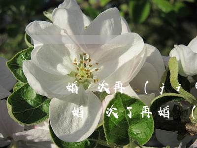 離婚兩次再結(jié)婚登記會刻意說么(離婚兩次了再婚領(lǐng)證對方會知道嗎?)