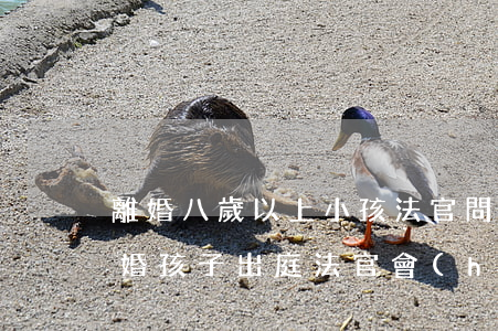 離婚八歲以上小孩法官問(wèn)什么(離婚孩子出庭法官會(huì)問(wèn)孩子什么)
