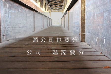 離婚公司也要分嗎(結(jié)婚前成立的公司離婚需要分嗎)