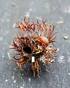 離婚公婆不尊重怎么辦