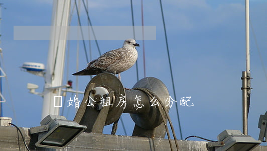 離婚公租房怎么分配