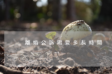 離婚公訴需要多長時間