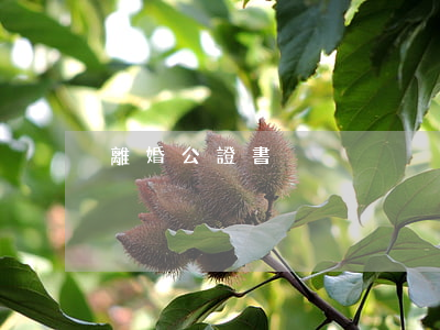 離婚公證書