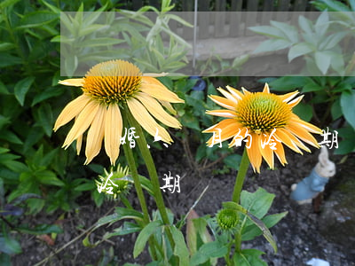 離婚六個月的冷靜期應做些什么(離婚幾個月冷靜期)
