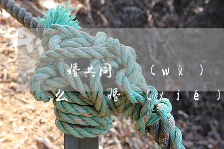 離婚共同債務(wù)沒有證據(jù)怎么辦(離婚協(xié)議上寫的無共同債務(wù))