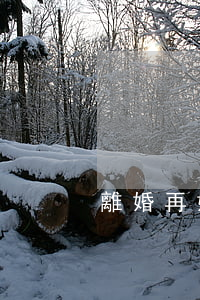 離婚再婚孩子遷戶口怎么辦