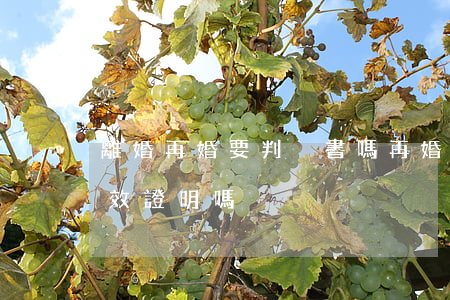 離婚再婚要判決書嗎(再婚需要帶離婚判決生效證明嗎)
