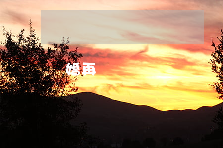 離婚再戀愛