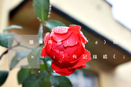離婚再結(jié)婚會(huì)不會(huì)有記錄(結(jié)婚再離婚有記錄嗎)
